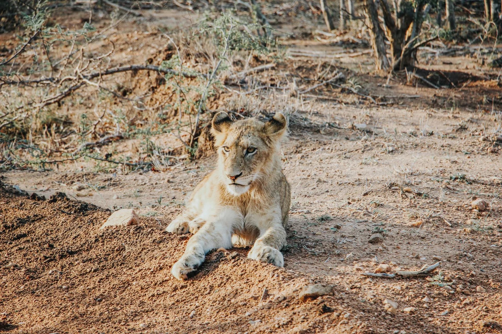 South Africa