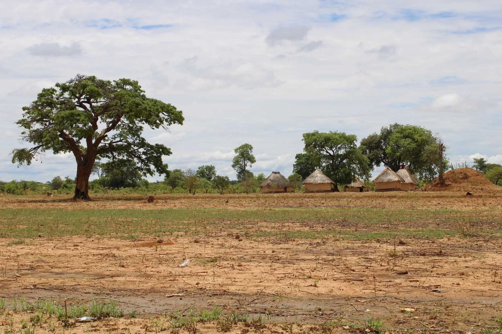 Zambia