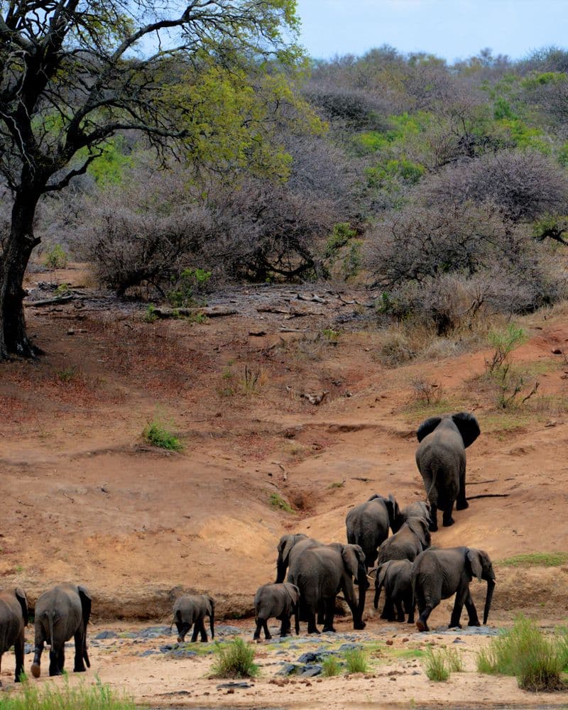 Okavango Delta