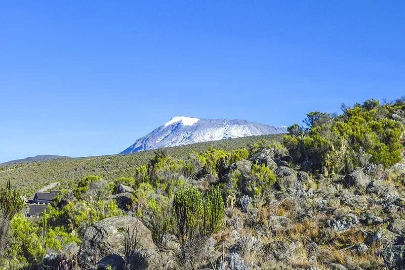 Kilimanjaro Climb - Marangu Route | 7 Days photo 8
