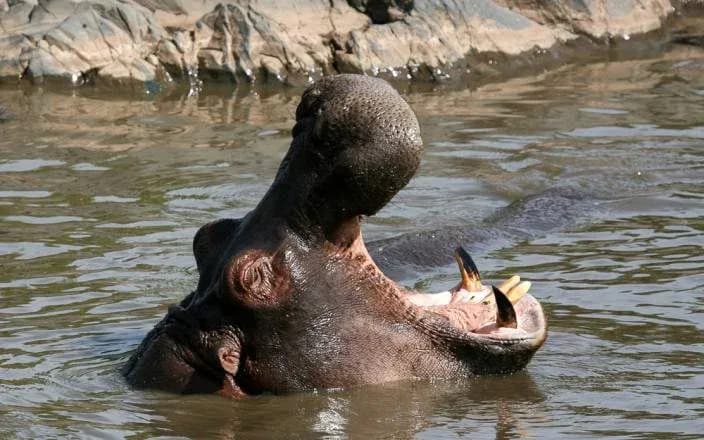 3 DAYS GROUP CAMPING - SERENGETI & NGORONGORO photo 5