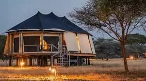 SAFARI, YOGA & CULTURE photo 2
