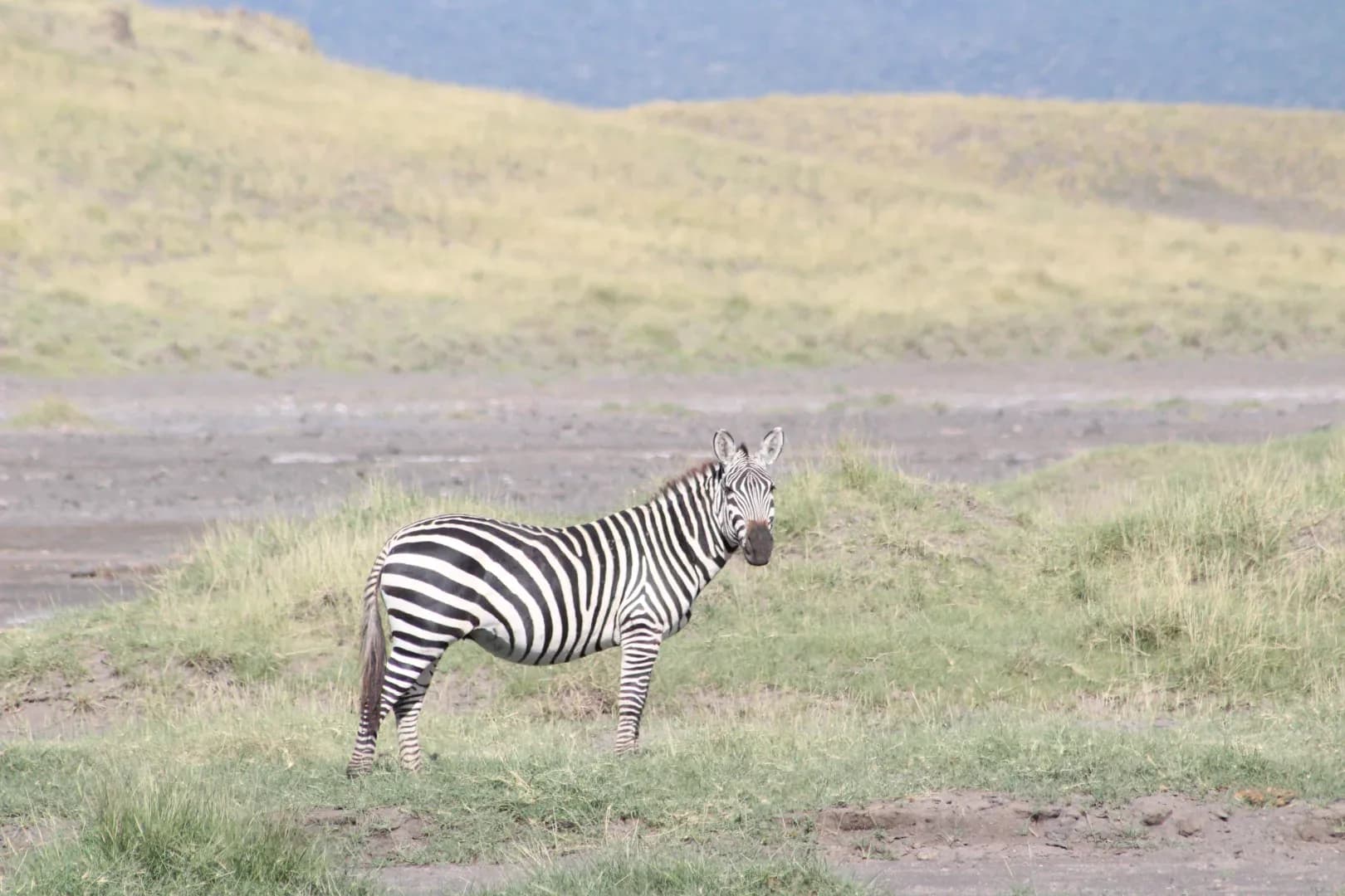 SAFARI, YOGA & CULTURE photo 4