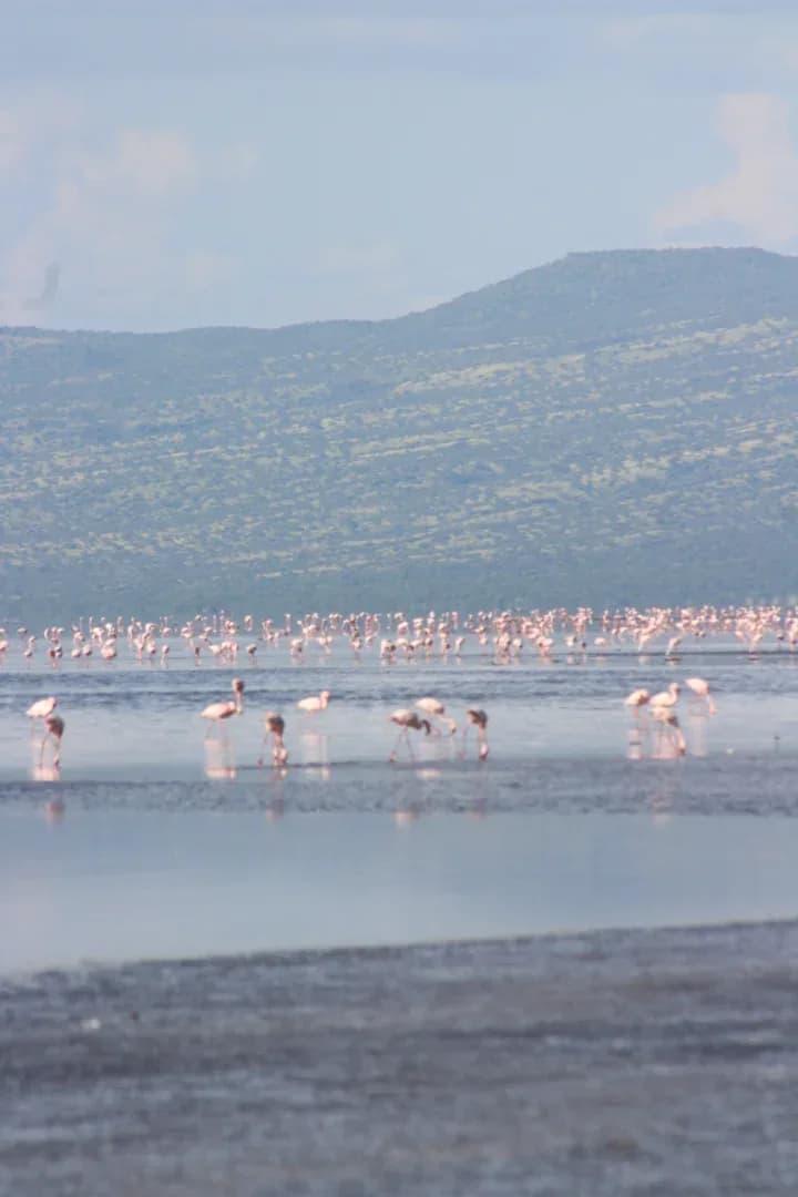 SAFARI, YOGA & CULTURE photo 5
