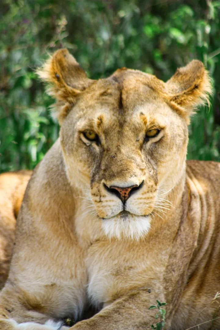 SAFARI, YOGA & CULTURE photo 10