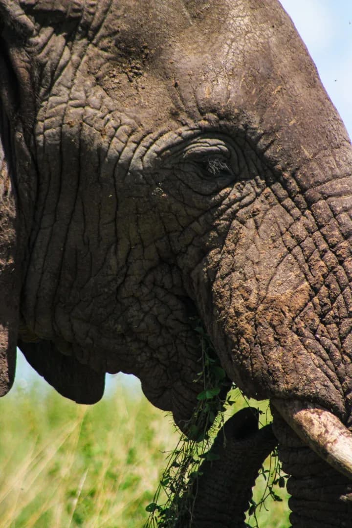 SAFARI, YOGA & CULTURE photo 11