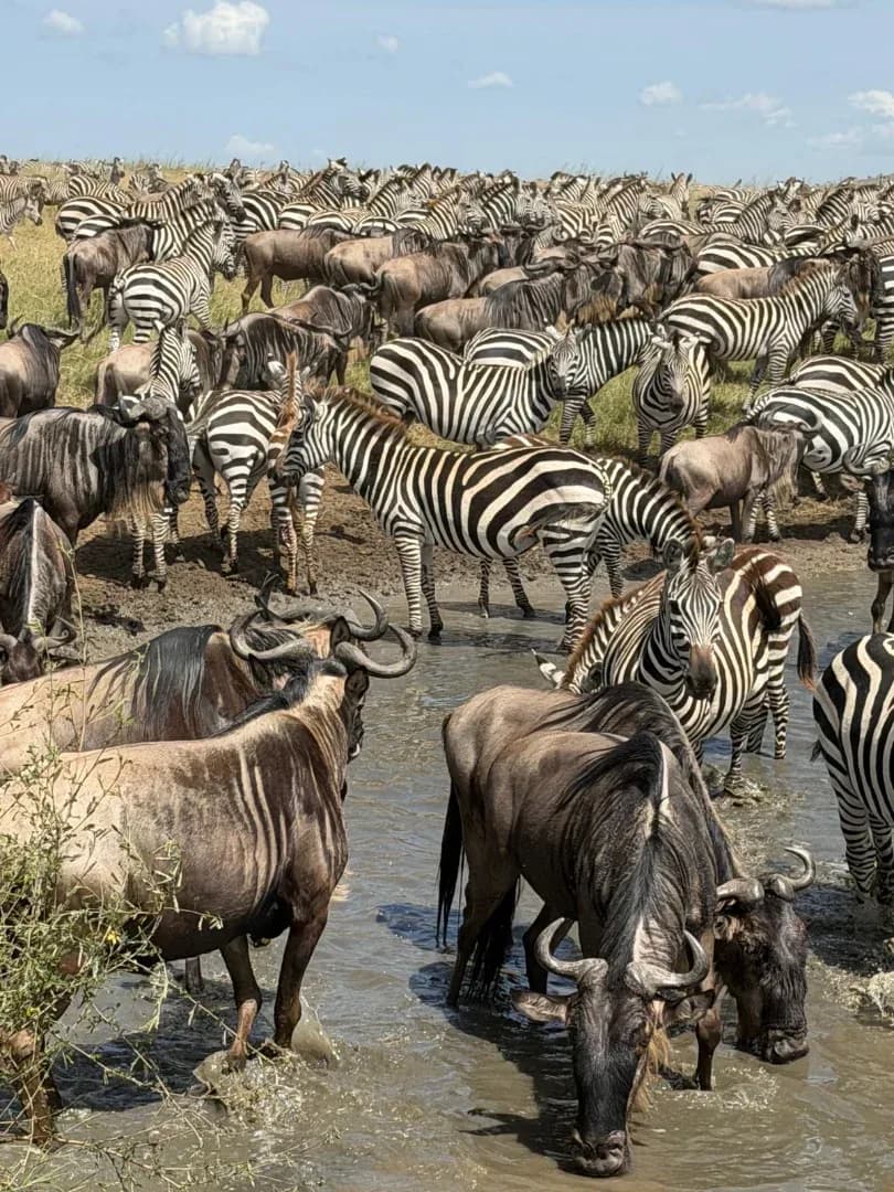 SAFARI, YOGA & CULTURE photo 18