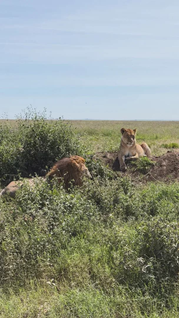 SAFARI, YOGA & CULTURE