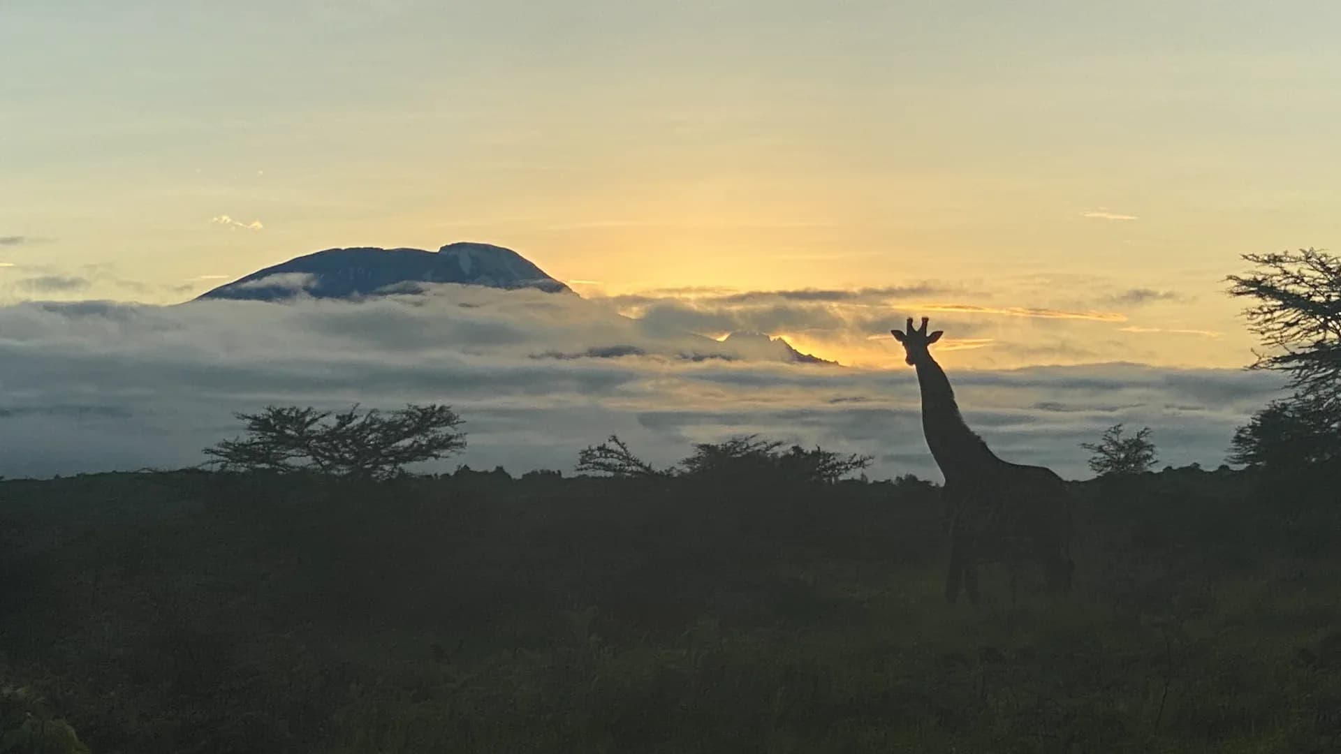 HONEYMOON SAFARI - 9 DAYS photo 2