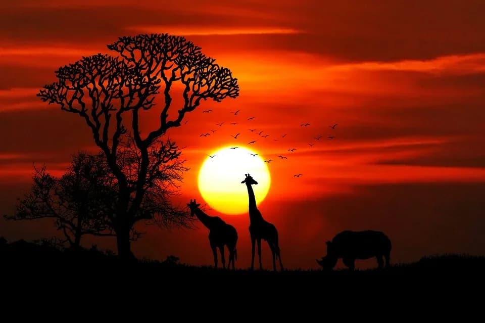 Splendid Tanzania Safari photo 1