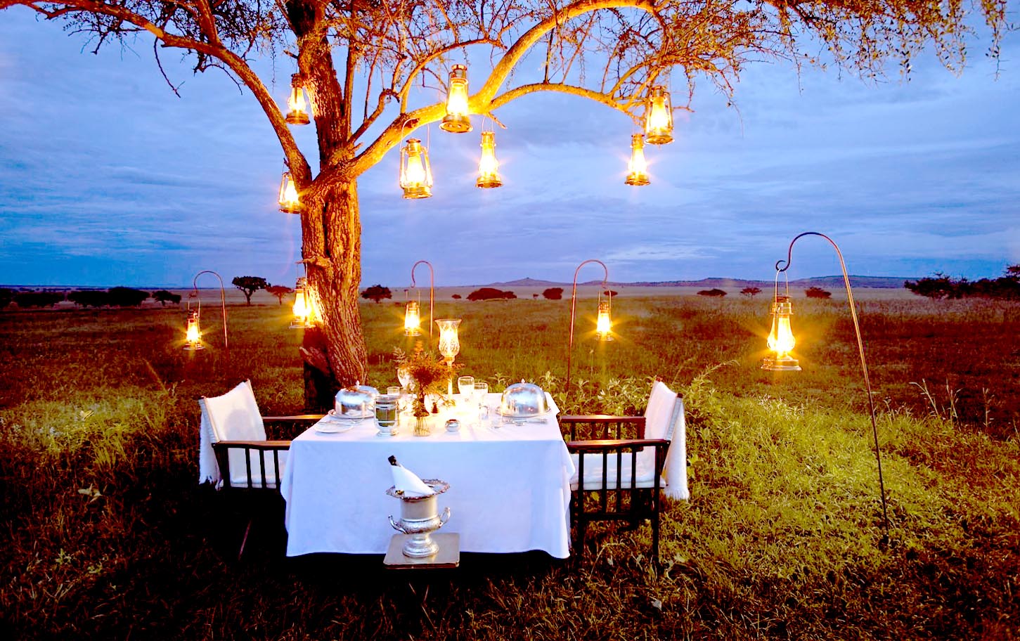 Bush dinner under the stars